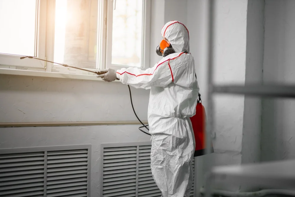 Professional mold remediation services in Greenbelt, MD